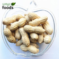 Neue Crop Raw Peanut Inshell zum Verkauf